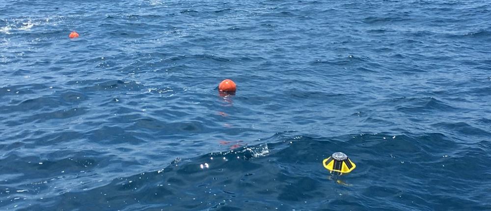 Komave wave buoy deployment