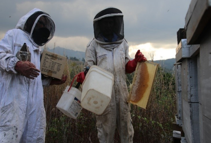 bee hives for harvesting honey Tukuraki village Fiji